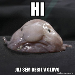 Blobfish