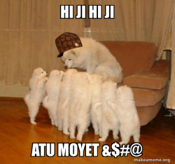 Scumbag Storytelling Dog