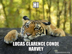Confession Tiger