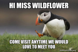 Unpopular Opinion Puffin