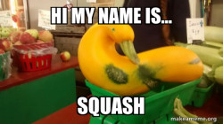 Gourd Advice Mallard