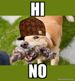Scumbag dog