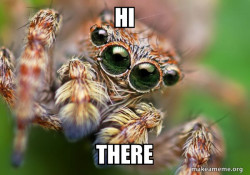 Hipster Spider