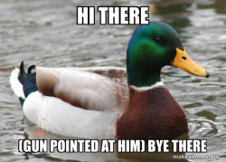 Actual Advice Mallard