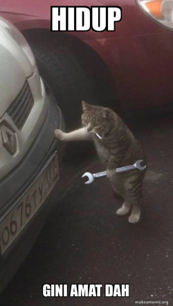 Mechanic Cat