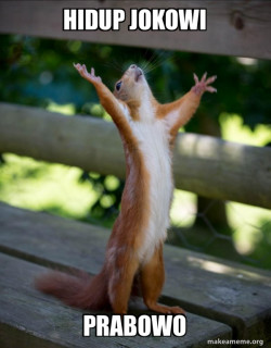 Happy Squirrel kontlo