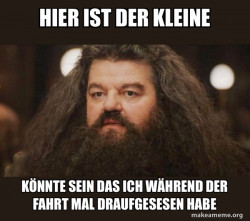 Hagrid - I should not have said that