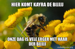 Good Guy Bee
