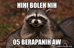 Evil Plotting Raccoon
