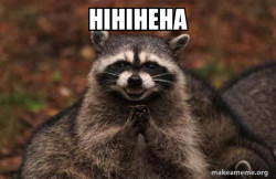 Evil Plotting Raccoon