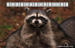 Evil Plotting Raccoon