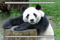 Confession Panda