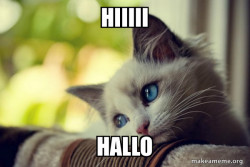 First World Cat Problems