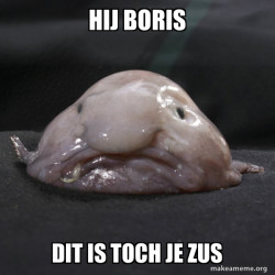 Blobfish