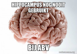 Scumbag Brain