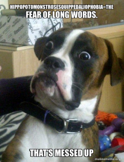 Skeptical Dog