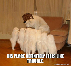 Scumbag Storytelling Dog