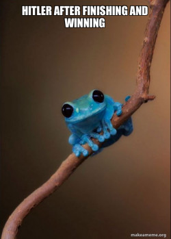 Small Fact Frog