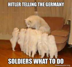 Storytelling Dog