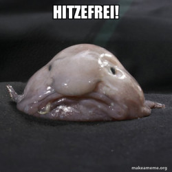 Blobfish