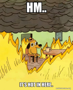 This Is Fine