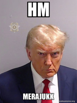 Donald Trump Mugshot
