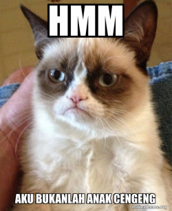 Grumpy Cat