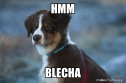 Unsure Dog