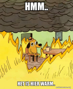 This Is Fine