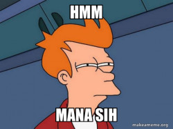 Futurama Fry