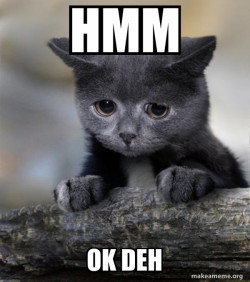 Confession Cat