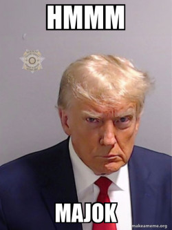 Donald Trump Mugshot