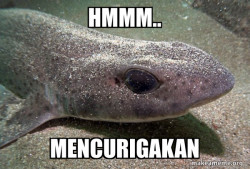 Dirty Joke Dogfish