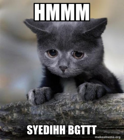 Confession Cat