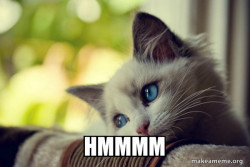 First World Cat Problems