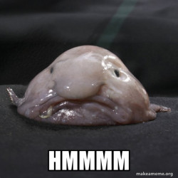 Blobfish