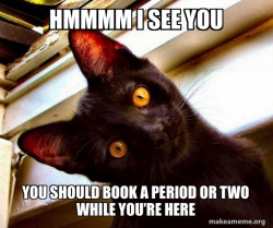 Overly Attached Cat