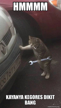 Mechanic Cat