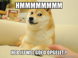 Doge