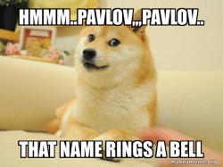 Doge