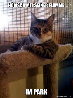The Most Interesting Cat in the World