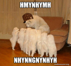 Scumbag Storytelling Dog