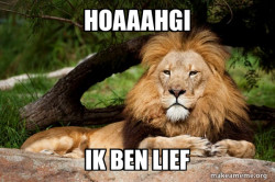 Contemplative Lion
