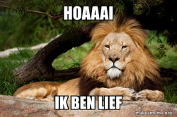 Contemplative Lion