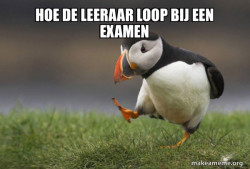 Unpopular Opinion Puffin