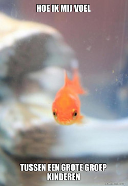 Grumpy Fish