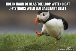 Unpopular Opinion Puffin