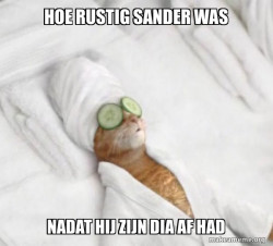 Pampered Cat Meme