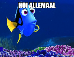 Dory from Nemo  (5 second memory)