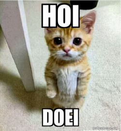 Cute Cat Standing